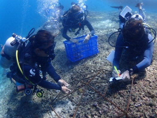 Coral Restoration Workshop- Bali- Indonesia