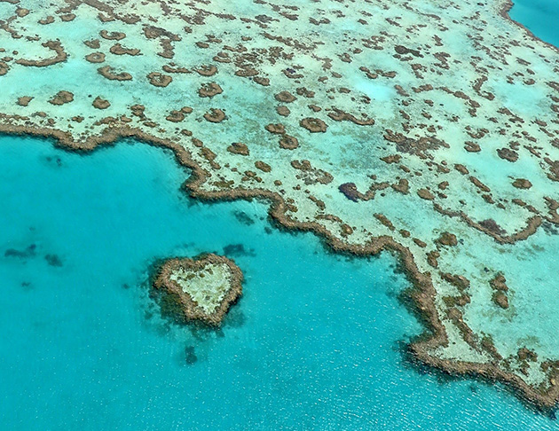 Heart Reef - Great Barrier Reef