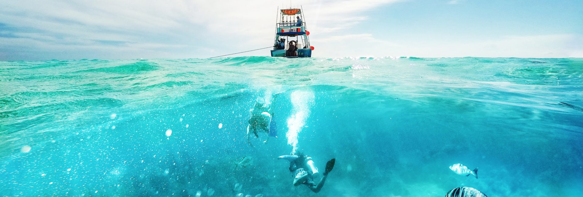 Dive Travel Done Light