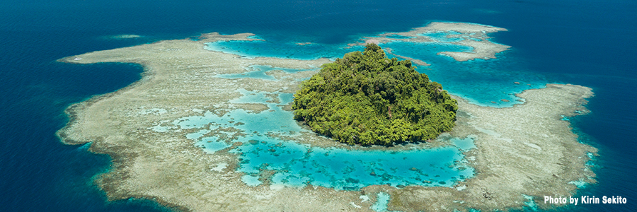 「パプアニューギニア・ダイビング・ナイト」 2019年4月10日（水）開催！