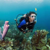 Bonaire Diver - Coral Reef - Underwater Scuba Diver