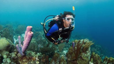 Bonaire Diver - Coral Reef - Underwater Scuba Diver