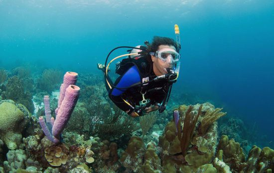 Bonaire Diver - Coral Reef - Underwater Scuba Diver