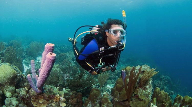 Bonaire Diver - Coral Reef - Underwater Scuba Diver