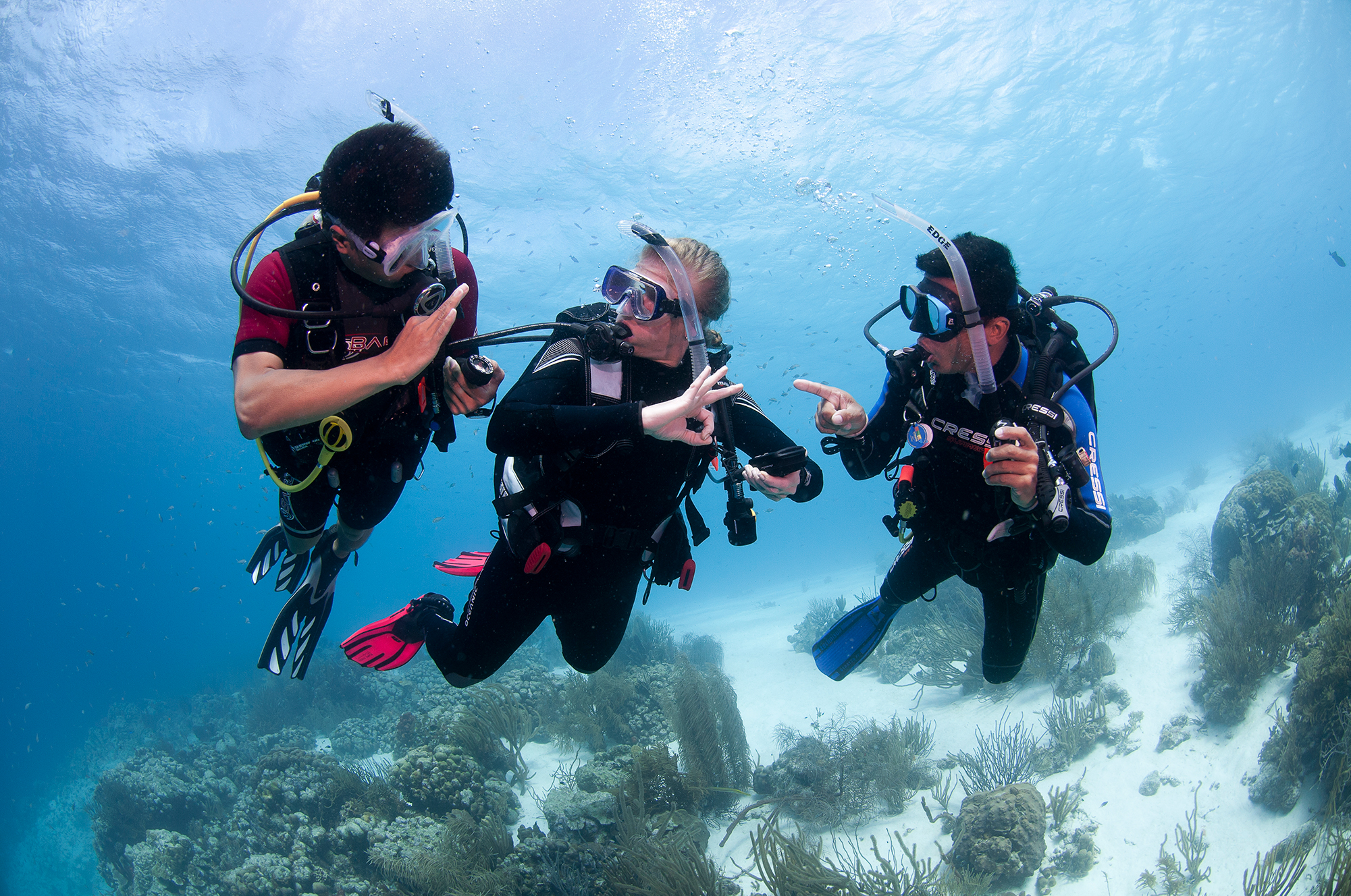Scuba Diver Ocean Diving Adventure Mens T-Shirt