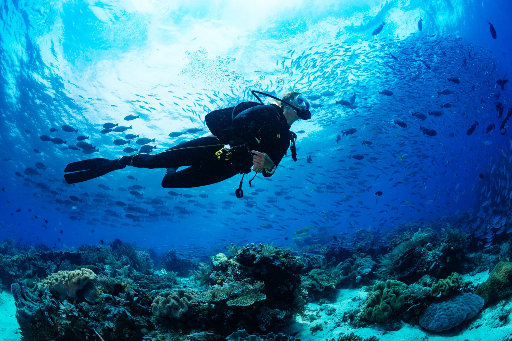A scuba diver listening to relaxing underwater meditation sounds such as bubbles and fish on the coral reef around them