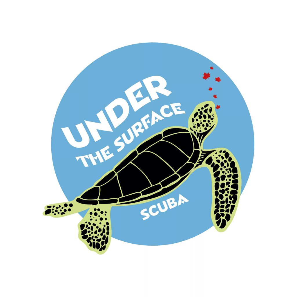 under the surface scuba program for recovering veterans