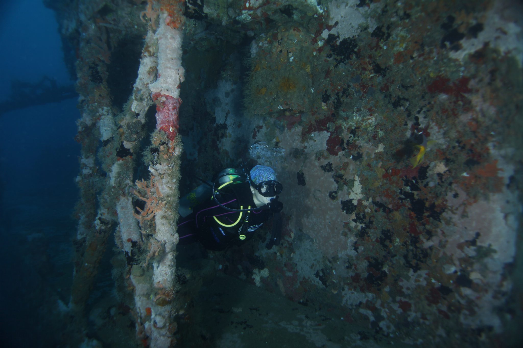 diving wrecks in mexico 