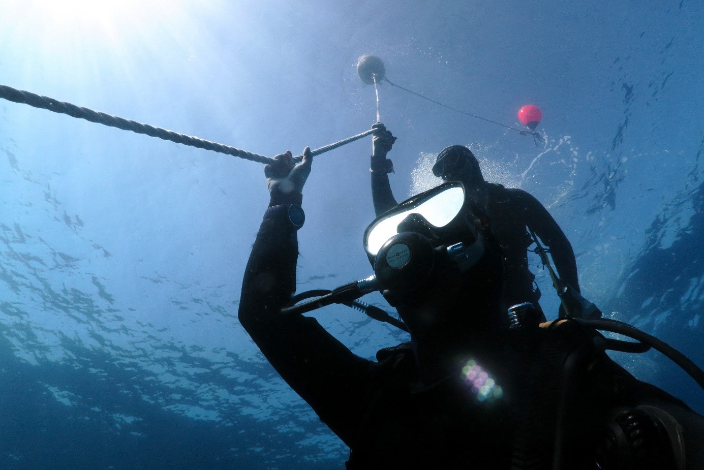 A scuba diver holding a line during their ascent, a point at which they may notice a diving nose bleed from sinus barotrauma