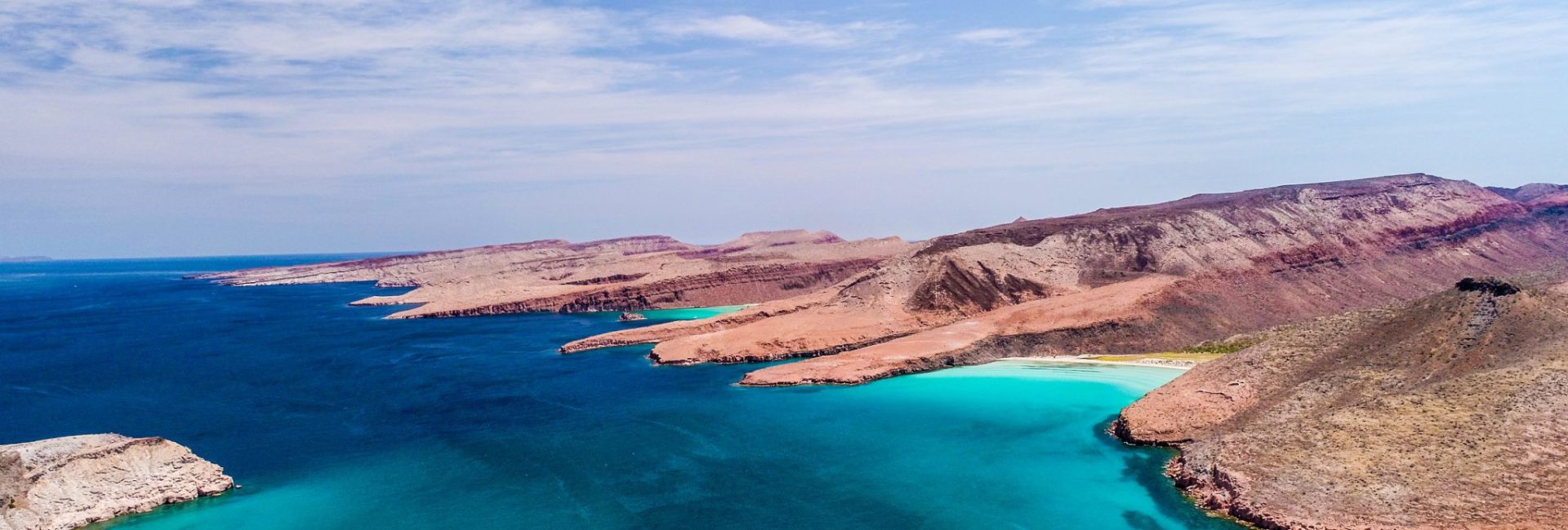 Mission Blue Hope Spot: Mexico’s Gulf of California