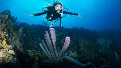 junior open water upgrade - drift diving