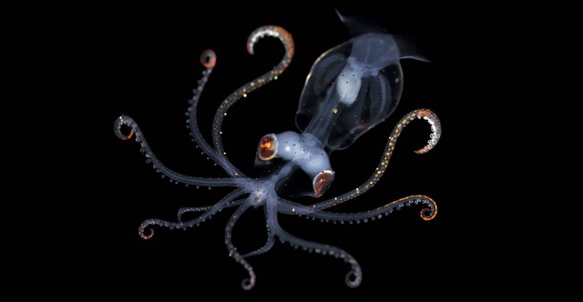 Underwater Tour 2019: The Stories Behind the Lens of an Underwater Photographer
