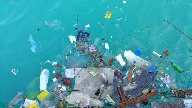 plastic pollution