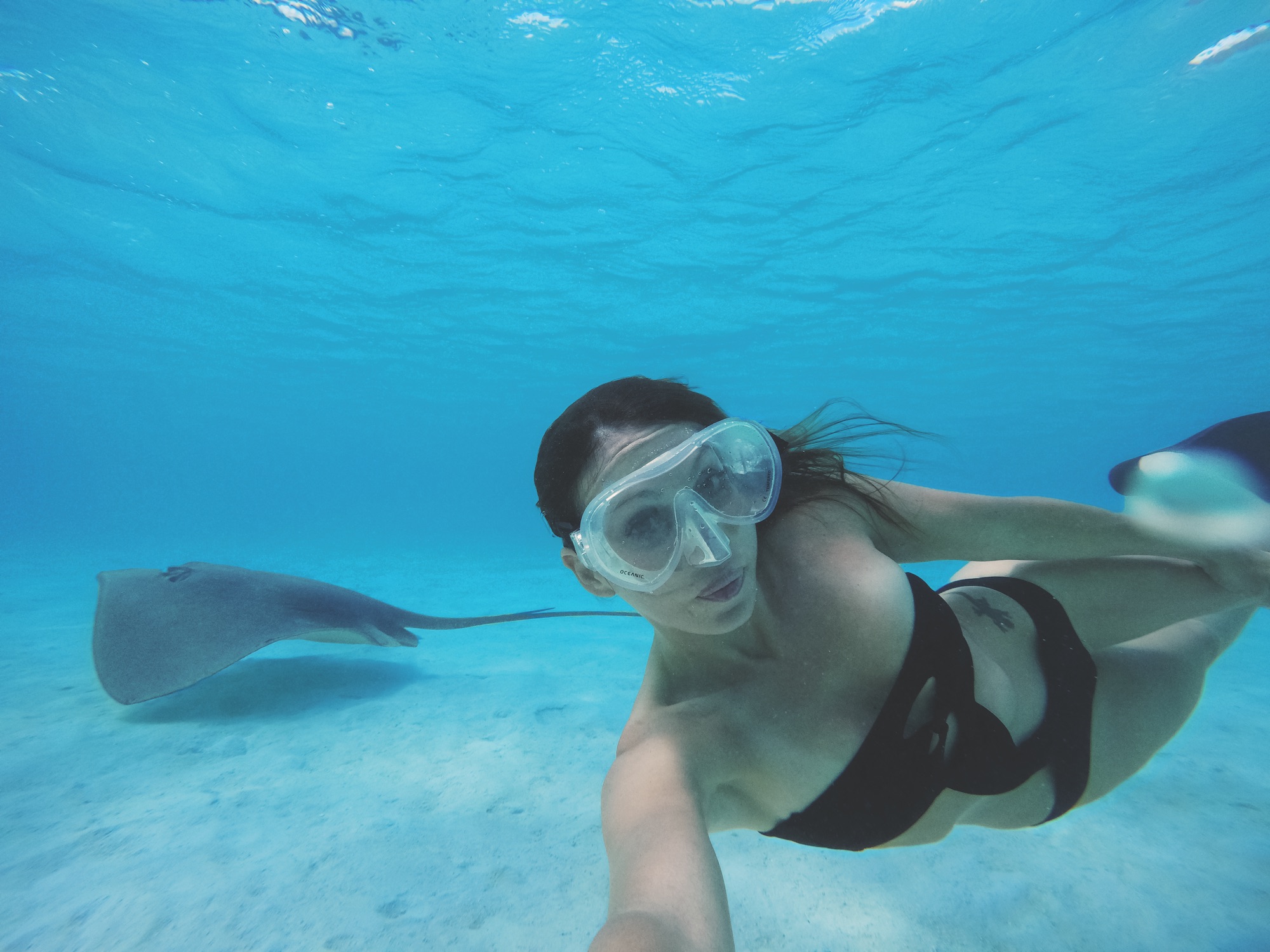 Why would you dive with stuff on your hands, not being able to live the  underwater experience to its fullest?. #Gopro #Underwater #GoproMask  #Scubadiving #spear…