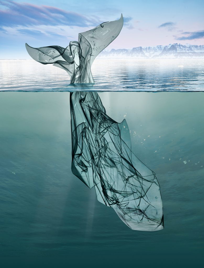 Conservation talk - plastic whale 