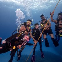 A group of divers hanging on a line