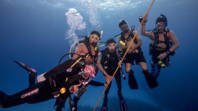Diving Instructors