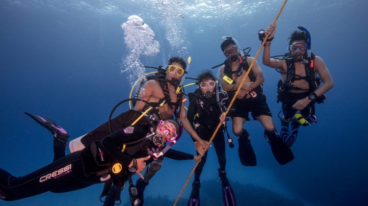 A group of divers hanging on a line