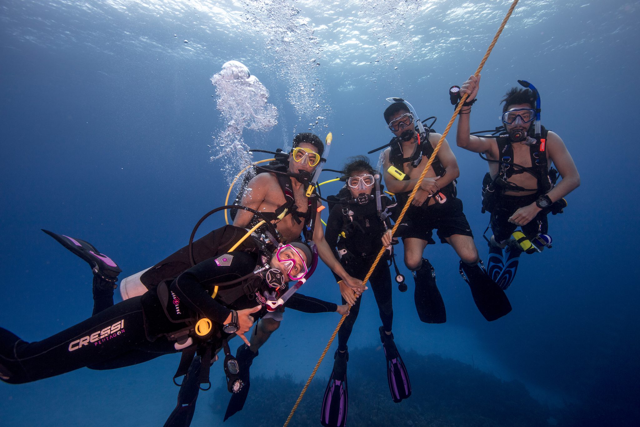 A group of divers hanging on a line