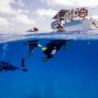 Diving is the perfect hobby