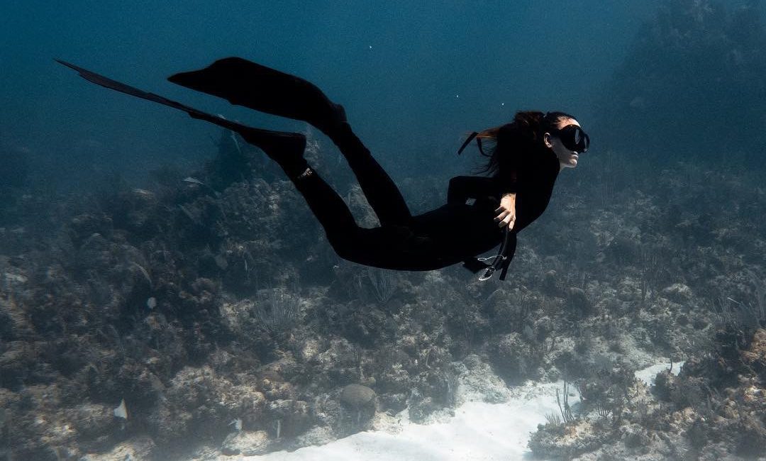 Cassiopea – Mahahual’s Ocean Protector