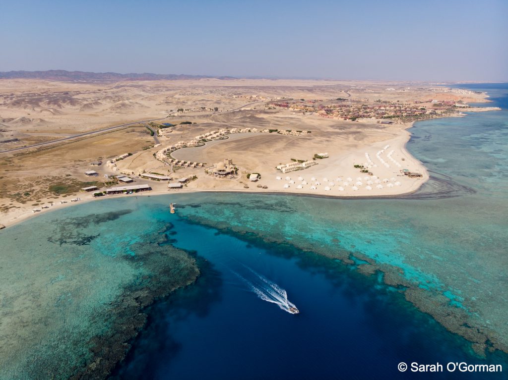 MARSA SHAGRA HOUSE REEF - Sarah O'Gorman