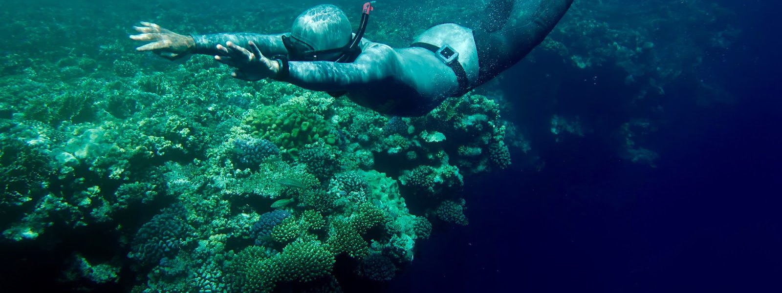Grazie alla protezione marina nel Mar Rosso, l’Egitto è una delle principali mete subacquee