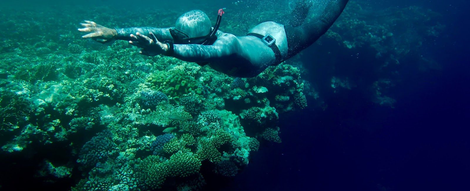 Grazie alla protezione marina nel Mar Rosso, l’Egitto è una delle principali mete subacquee