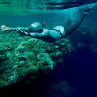 Sarah Red Sea marine conservation, freediving
