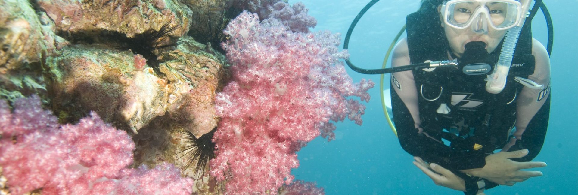 Malaysia International Dive Expo 2019