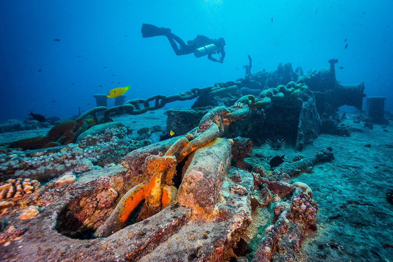 A scuba diver exploring the SS Thistlegorm in Egypt, a shipwreck that often features in the top 10 dive sites of the world