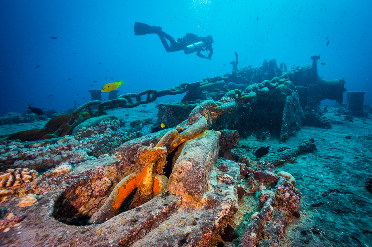 The 13 Best Dive Sites in the World