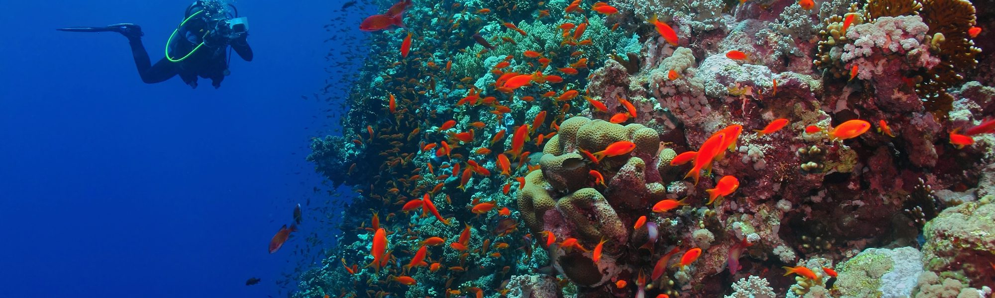 PADI Rescue Diver-Kurs – Der nächste große Schritt in unserer Tauchkarriere
