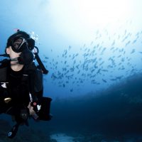 diver-photo-pose