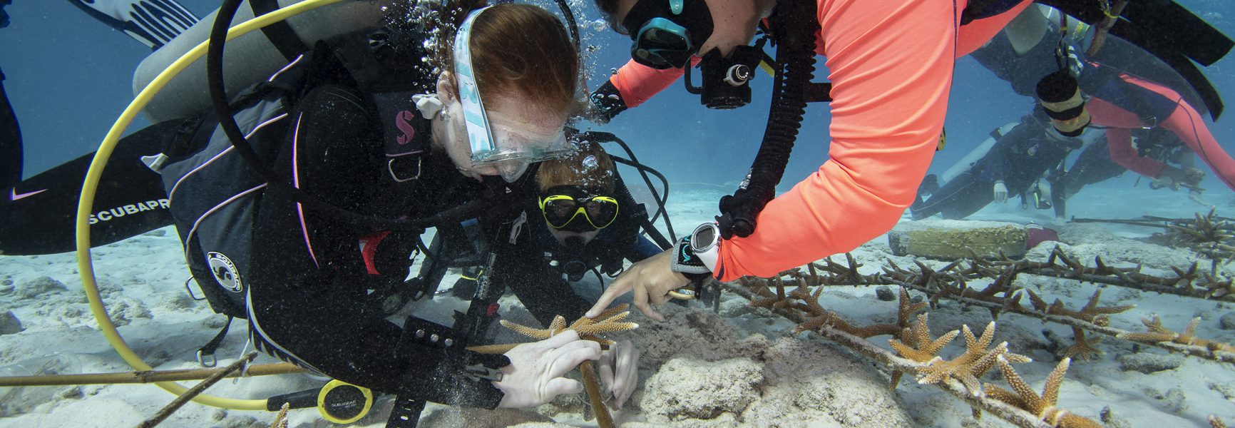 Family Scuba Diving Trips Are More Popular Than Ever