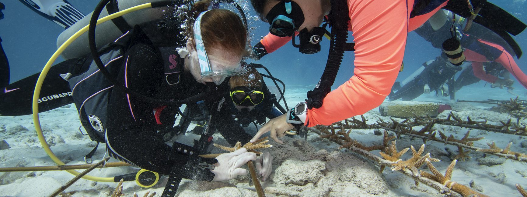 Family Scuba Diving Trips Are More Popular Than Ever
