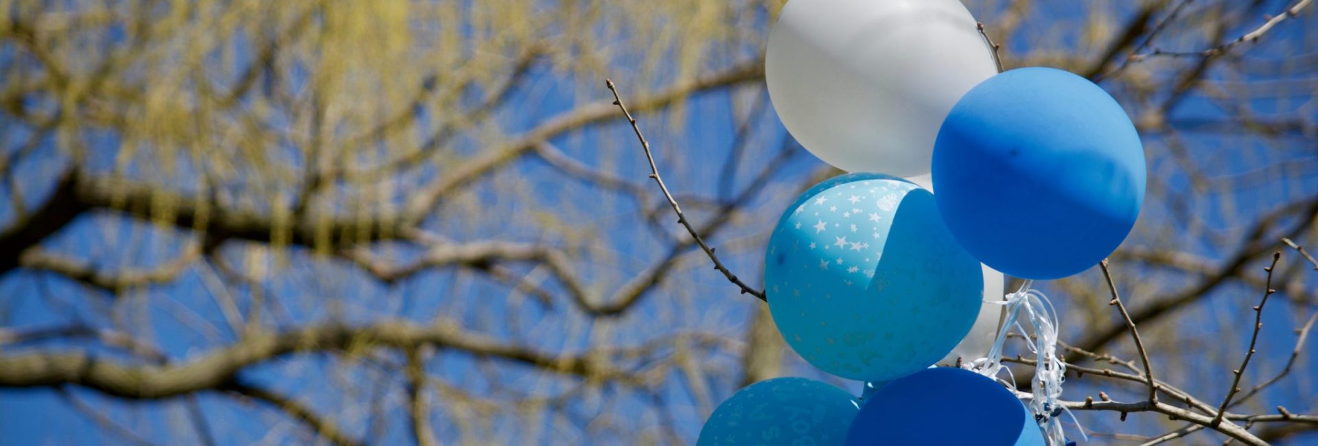 14 Eco-Friendly Alternatives to Balloon Releases & Sky Lanterns