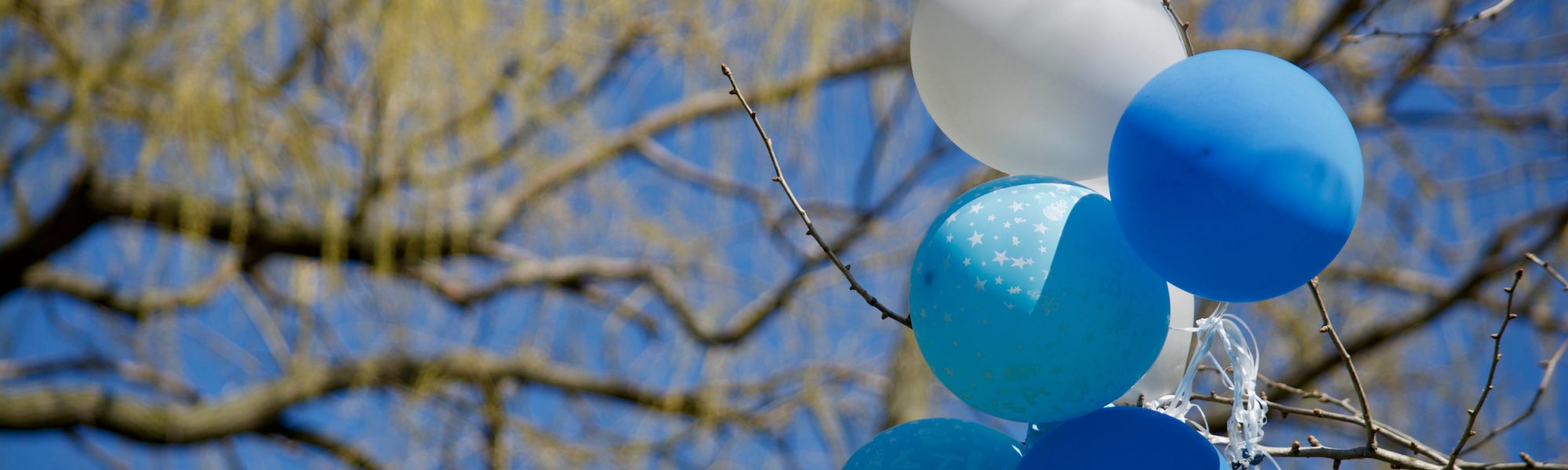 14 Milieuvriendelijke alternatieven voor ballonnen en vuurlantaarns