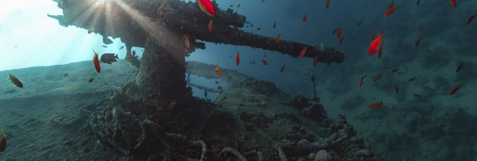 A Brief History of the SS Thistlegorm