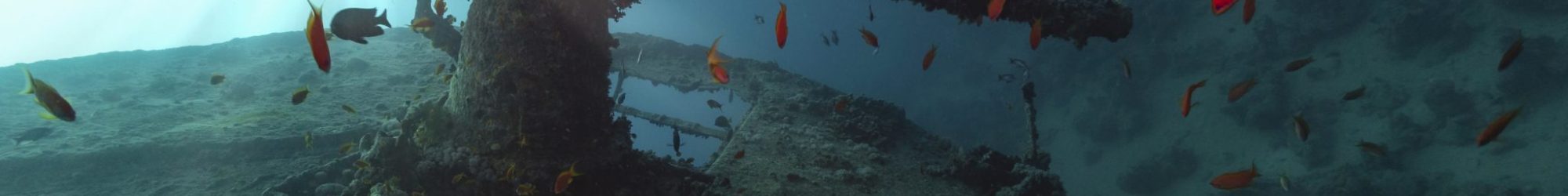 antiaircraft gun of ss thistlegorm in backlight