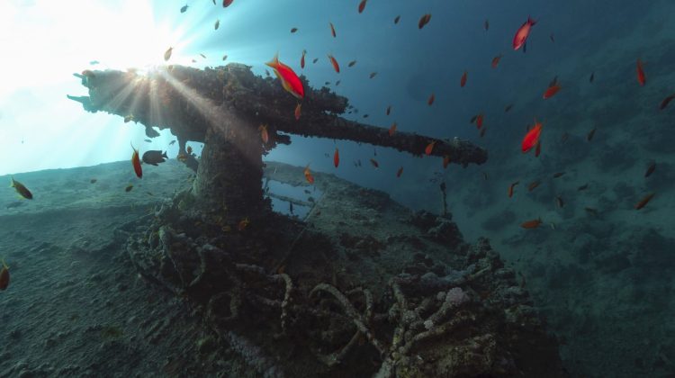antiaircraft gun of ss thistlegorm in backlight