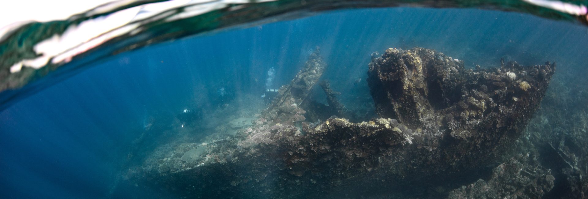 Top 10 PADI Blog Posts of All Time