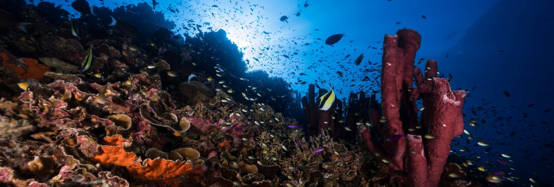 Where Can You Get Off the Beaten Track in Indonesia? Una-Una and the Togean Islands!