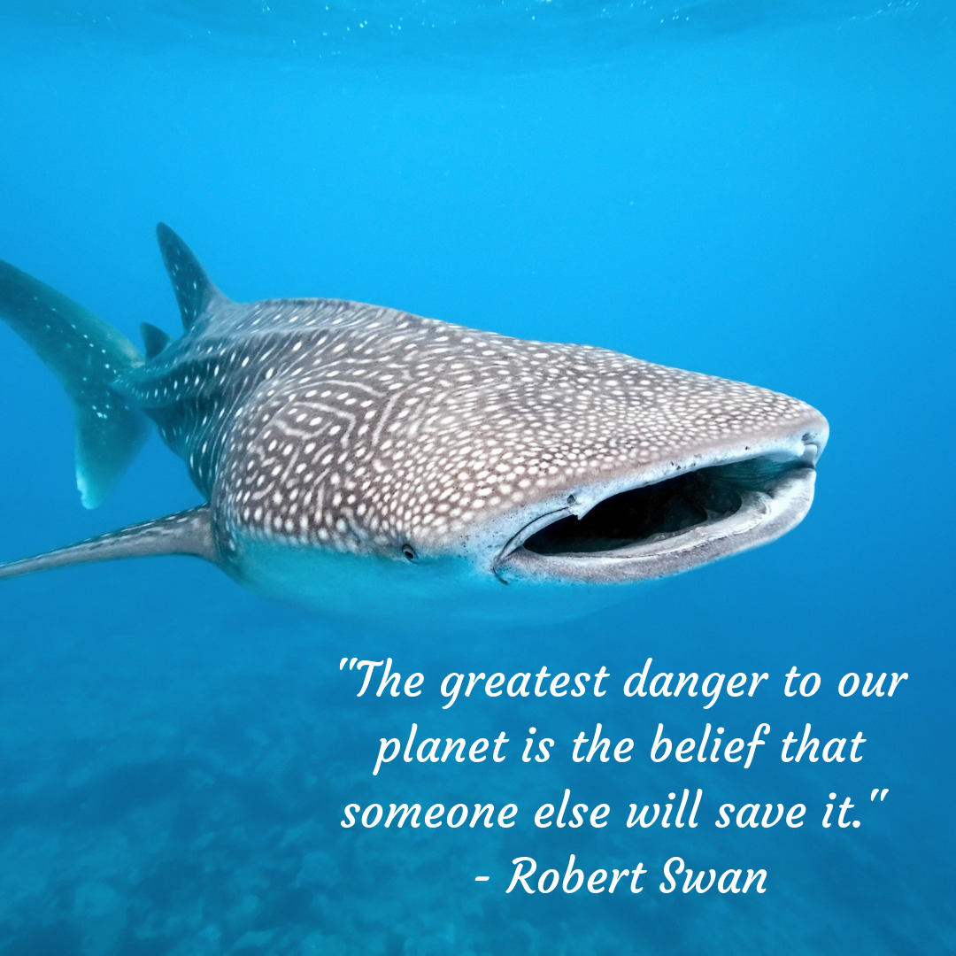 11 Inspiring Quotes That'll Make You Want To Protect The Ocean