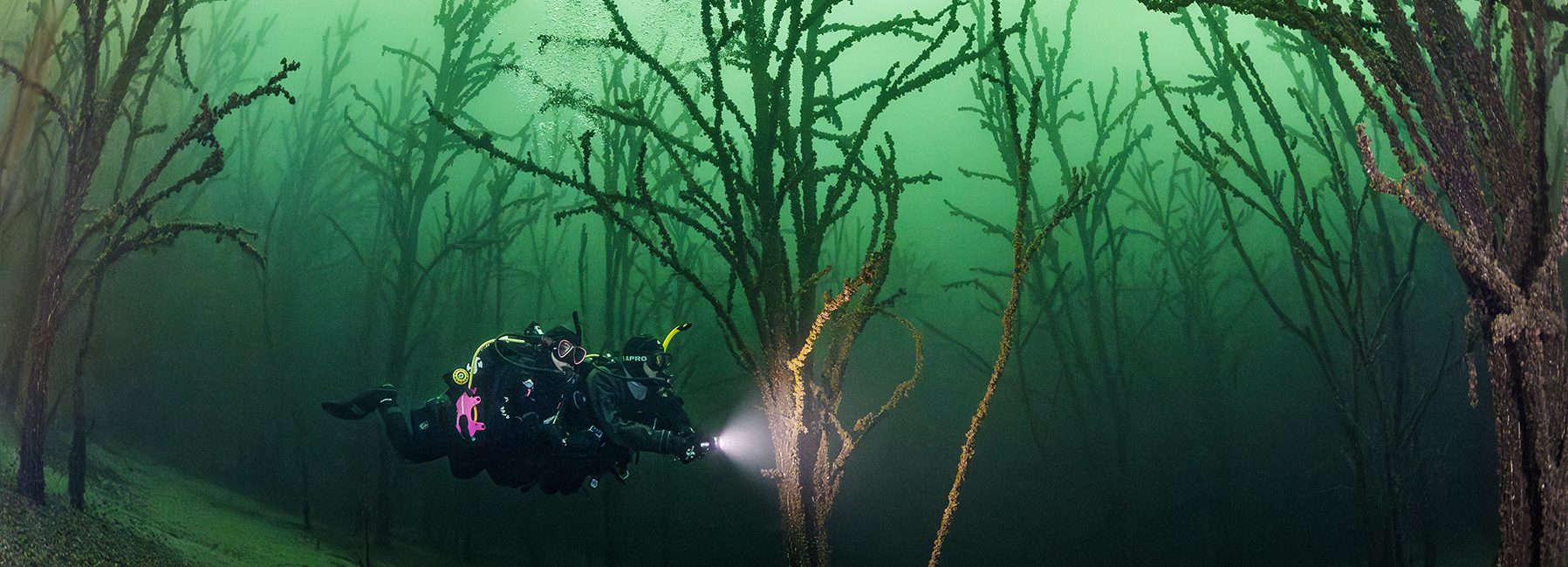 Explore the World and Earn Your Master Scuba Diver Rating