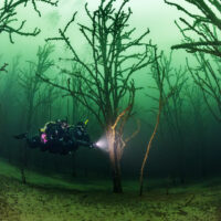 Two scuba divers on a drysuit dive through an underwater forest with a lot of trees, Geiseltalsee, near Leipzig, Germany, ScubaPro, PADI.