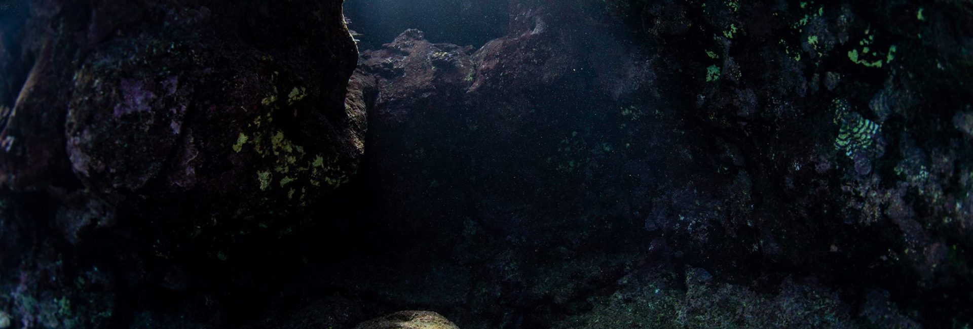 Diving off the beaten track in Hawaii: the lava tubes of the Kohala Coast