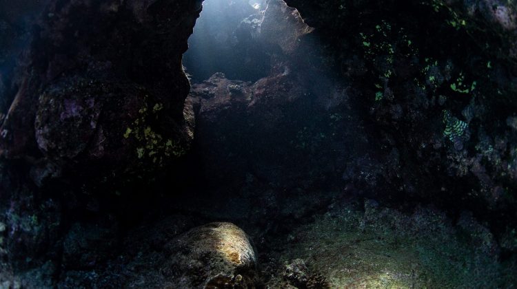 Hawaii off the beaten track