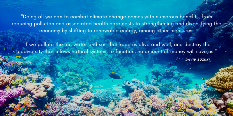 inspiring ocean quotes doing all we can David Suzuki