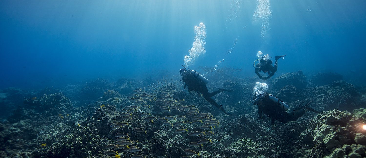 Become a Deep Diver in Hawaii